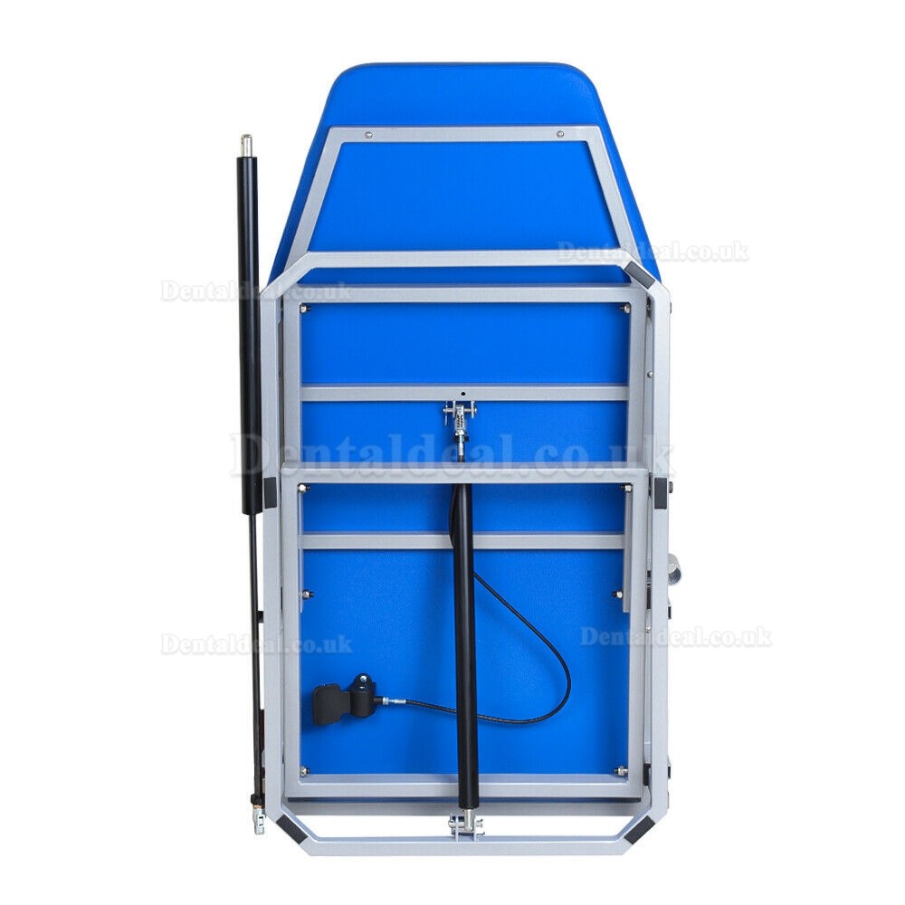 Greeloy Portable Folding Chair with LED Cold Light and Instrument Tray GU-P109 Kit